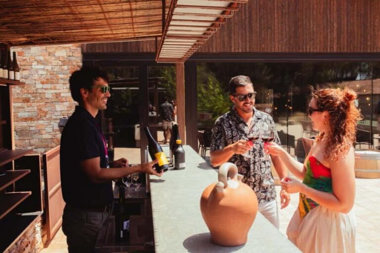 From Barcelona: Full-Day Montserrat & Wine Small Group Tour - Price and value: what $117 buys you