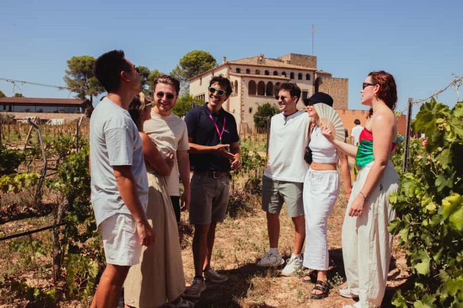 From Barcelona: Full-Day Montserrat & Wine Small Group Tour - Pacing, walking, and what to pack
