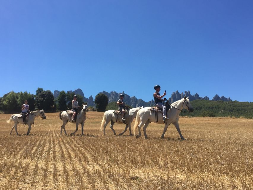 From Barcelona: Horseback Tour in Montserrat National Park - Morning Meet-Up on Passeig de Gràcia: how the day starts