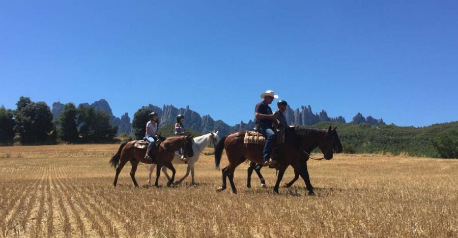 From Barcelona: Horseback Tour in Montserrat National Park - Food market time: a smart break that keeps the day from feeling rushed