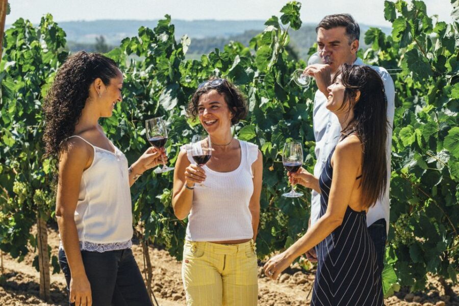 From Barcelona: Penedés Vineyards Tour by 4WD w/Wine & Cava - A 6-hour Break From Barcelona by Minibus and 4x4