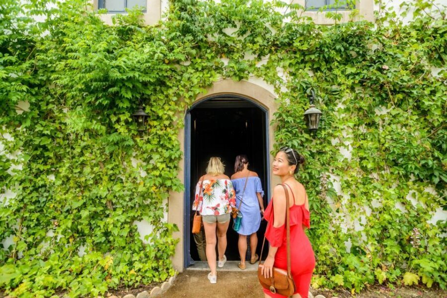 From Barcelona: Penedés Vineyards Tour by 4WD w/Wine & Cava - Tasting pairings: how cheese and charcuterie actually help