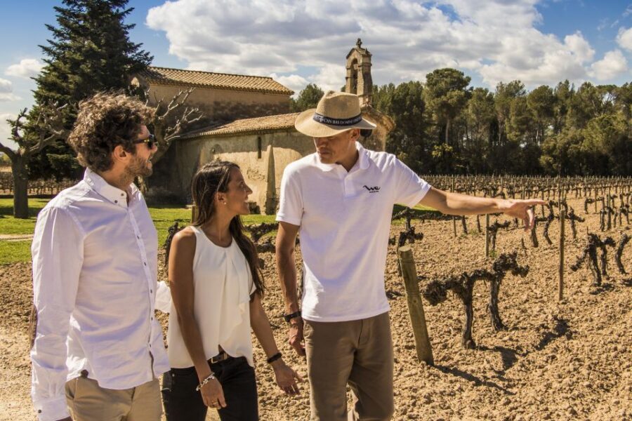 From Barcelona: Penedés Vineyards Tour by 4WD w/Wine & Cava - Guides, language, and the small-group feel that keeps things moving