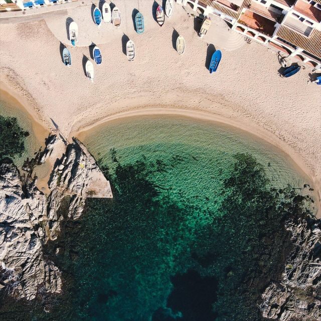 From Barcelona: Small Group to Girona and Costa Brava - Guides and van vibe: why the small-group format matters