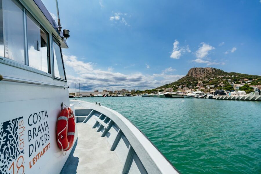 From L’Estartit: Snorkeling Trip to the Medes Islands - Tips So Your Day Starts Easy and Stays Fun
