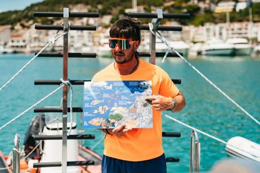 From L’Estartit: Snorkeling Trip to the Medes Islands - What You’ll See Underwater: Fish, Plants, and Protected Marine Reserve Life