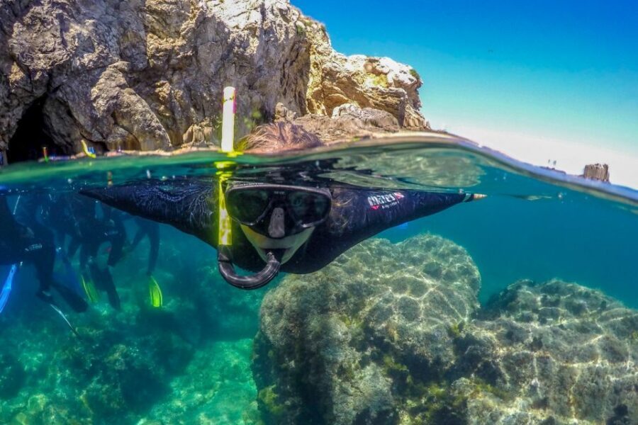 From L’Estartit: Snorkeling Trip to the Medes Islands - Comfort, Safety, and Who This Tour Suits Best