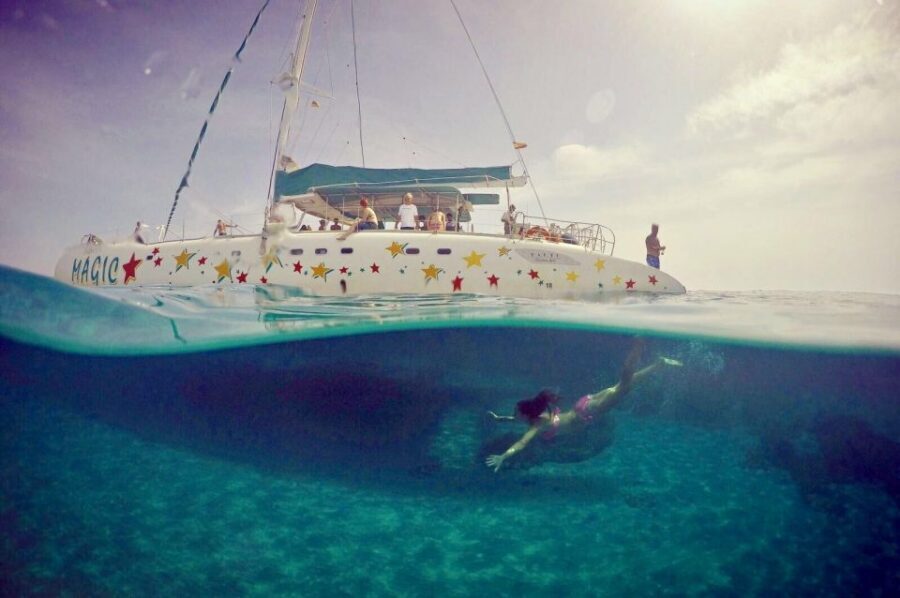From Roses: Sailing Catamaran Cruise to Medes Islands - Medes Islands Natural Park: Cala Montgó or Illa Pedrosa