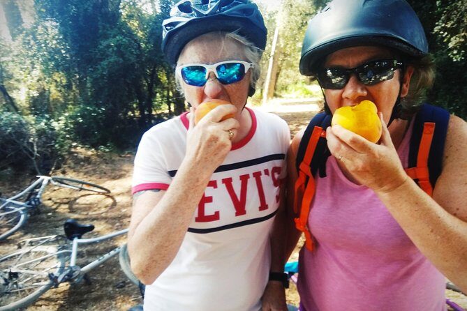 From Sitges: Bike Tour and Winery Visit with Free Hotel Pick Up. - The Ride Itself: Vines, Countryside Stops, and a Real Pace