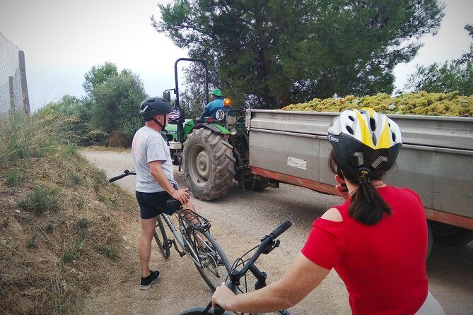 From Sitges: Bike Tour and Winery Visit with Free Hotel Pick Up. - What the Second Winery Stop Feels Like