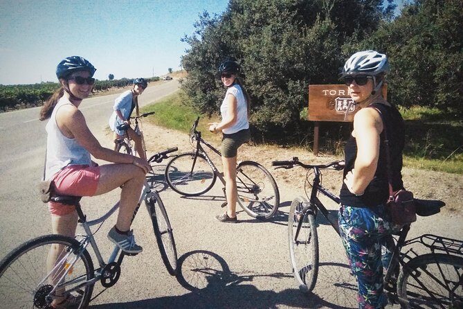 From Sitges: Bike Tour and Winery Visit with Free Hotel Pick Up. - Price and Value: What You’re Really Paying For