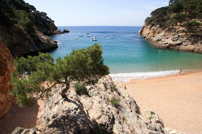 Girona & Costa Brava Small-Group Tour with Pickup from Barcelona - Cathedral, Arab Baths, and Museum Stops: Worth It, But Tickets May Cost