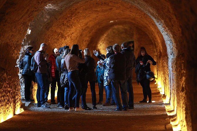 Guided Tour of Roman Tarragona - Circ Roma: reserved entry to the Roman Circus vaults under the forum stands