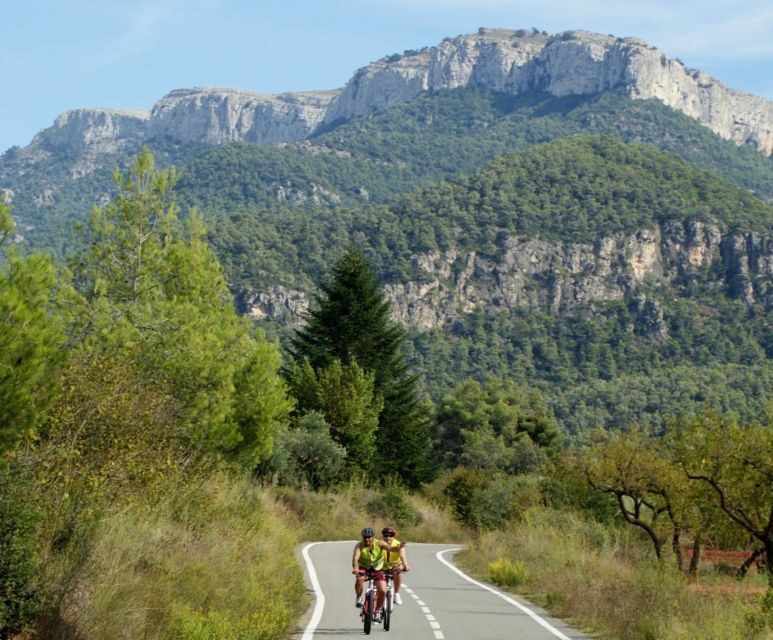 Half-Day Bike Tour from Salou - What You’ll See on the Costa Dorada Run