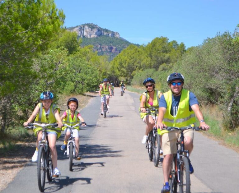 Half-Day Bike Tour from Salou - Your Ride: Mostly Downhill, Mostly Effort-Free