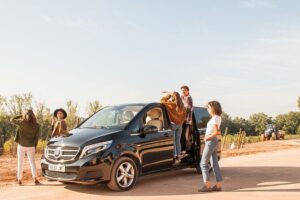 High-End Vineyard Escape: Cava, Tapas & Wine | Private Tour - Barcelona pickup to winery country: making the 6 hours count