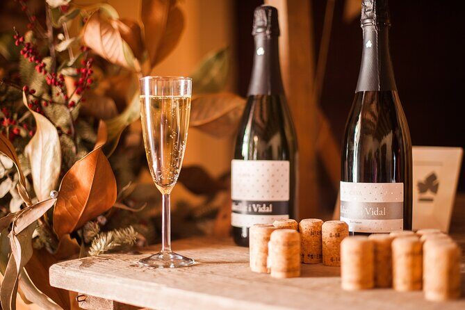 High-End Vineyard Escape: Cava, Tapas & Wine | Private Tour - Finca Ca n’Estella tasting: what to watch for in the cellar story
