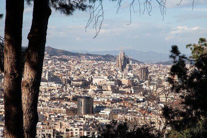 Montjuïc Walking Tour With Optional Flamenco Show - Why Montjuïc Works So Well for a 2-Hour Tour