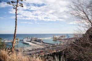 Montjuïc Walking Tour With Optional Flamenco Show - Price and What You’re Actually Buying for $35.09