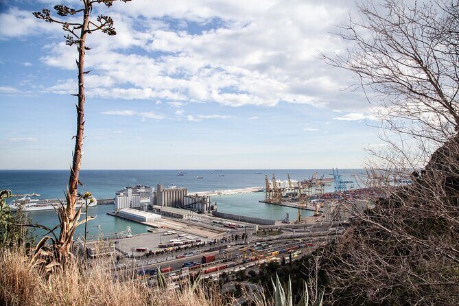 Montjuïc Walking Tour With Optional Flamenco Show - Price and What You’re Actually Buying for $35.09