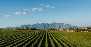 Montserrat & Cava Wineries Day Trip from Barcelona w/ Pickup - Montserrat Monastery: Black Madonna, Benedictine life, and Santa Cova