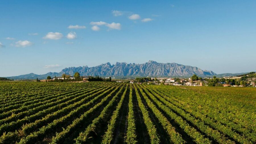 Montserrat & Cava Wineries Day Trip from Barcelona w/ Pickup - Small-group comfort and the reality of 10 hours