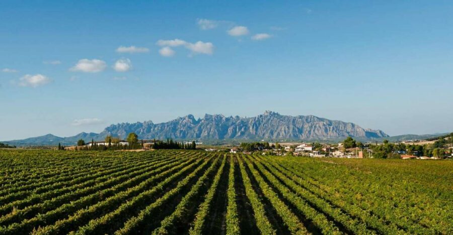 Montserrat & Cava Wineries Day Trip from Barcelona w/ Pickup - Montserrat Monastery: Black Madonna, Benedictine life, and Santa Cova