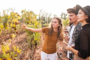 Montserrat & Cogwheel Train, Gourmet Wine Tasting & Tapas/Lunch - Montserrat Monastery with a Real Local Guide: Basilica, Stories, and Views