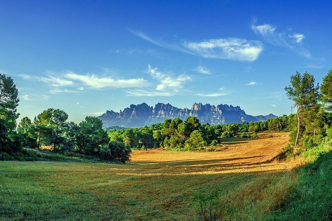 Montserrat Monastery Small Group or Private Tour Hotel pick-up - Abadia de Montserrat and La Moreneta: what you are really seeing