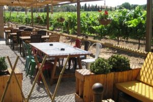 Montserrat & Winery Visit Tour with Traditional Farmhouse Lunch - Leaving Barcelona the Right Way: Palau de la Música and the Morning Drive