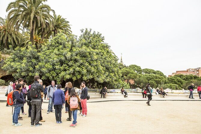 Park Guell Guided Tour with Skip the line Ticket - Pace, group size, and the radio system (what to expect on your feet)