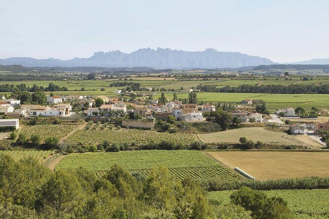 Penedes Wine & Cava Tasting & 4WD Vineyards Tour from Barcelona - Key highlights