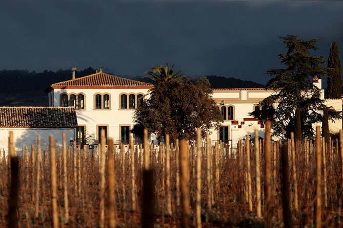 Penedes Wine & Cava Tasting & 4WD Vineyards Tour from Barcelona - Value for the Price: What You Get for $145.17