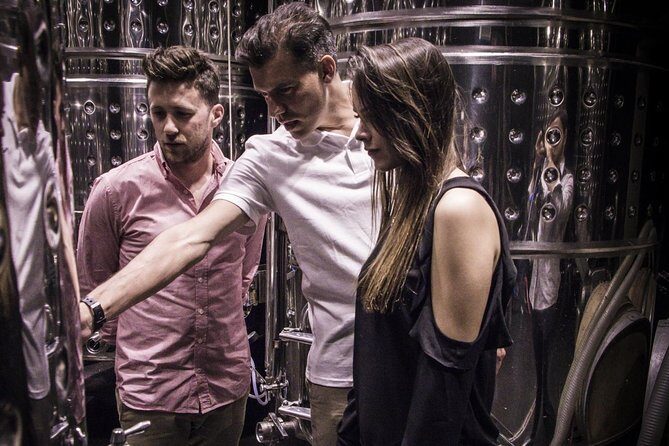 Penedes Wine & Cava Tasting & 4WD Vineyards Tour from Barcelona - Who This Tour Suits Best (and Who Should Skip It)