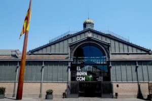 Picasso Museum Guided Tour in Barcelona - The Guided Walk Through Picasso’s Life (Including His Barcelona Years)