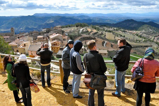 Private Priorat Tour with Wine Tastings & Lunch from Barcelona - Key Highlights You’ll Care About
