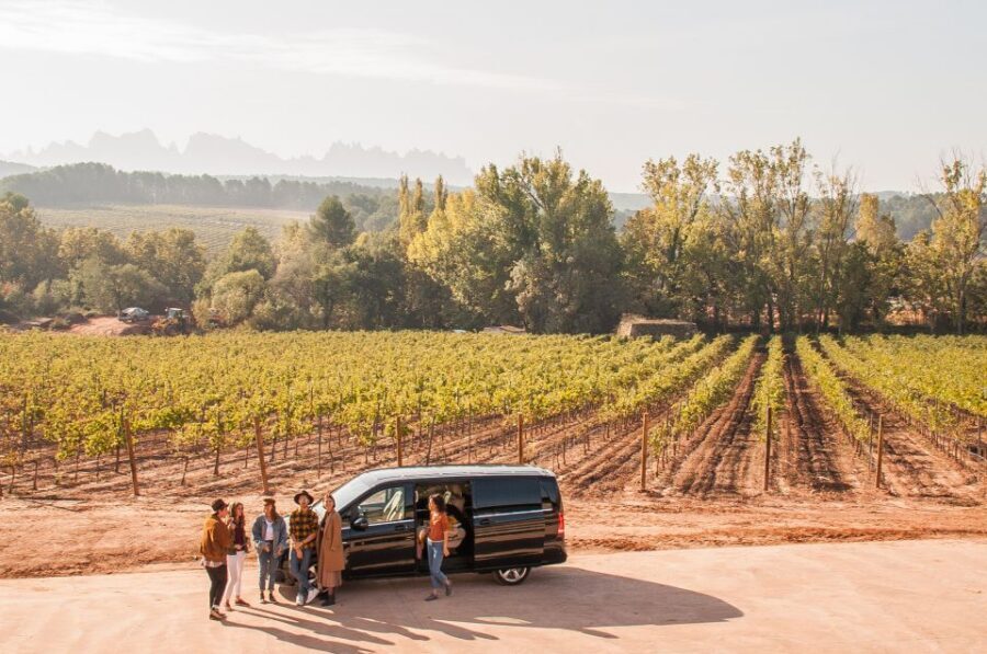 Private Wine, Tapas & Cava Experience from Barcelona - Private Wine, Tapas & Cava From Barcelona: How This Two-Region Plan Pays Off