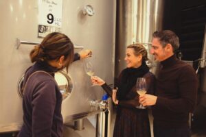 Private Wine, Tapas & Cava Experience from Barcelona - Penedès at Finca Ca N’Estella: Cava Tradition, Underground Aging, Catalan Country Estate Vibes