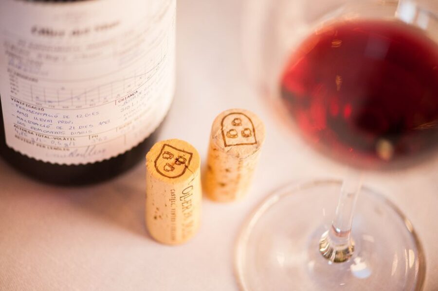 Private Wine, Tapas & Cava Experience from Barcelona - Up to 8 Tastings: How to Approach the Pour Order Without Getting Lost