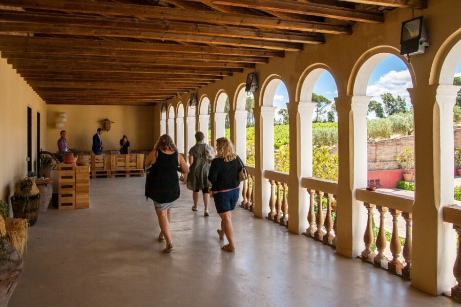 Private Wine, Tapas & Cava Experience from Barcelona - The Guide Factor: Why This Tour Succeeds Beyond the Wineries