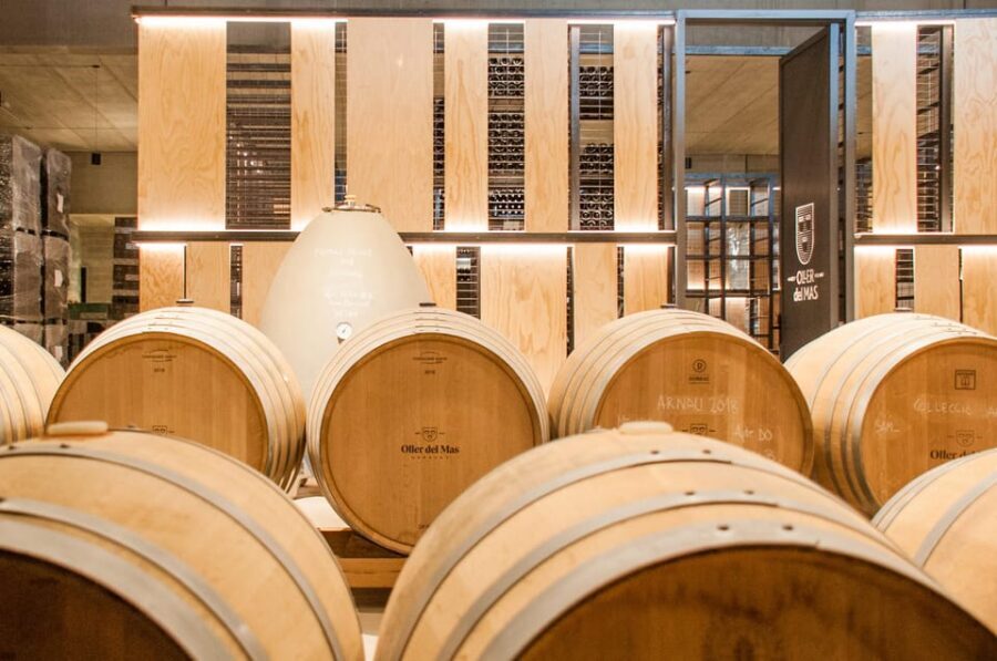 Private Wine, Tapas & Cava Experience from Barcelona - Who Should Book This Private Wine and Cava Day (and Who Might Not)