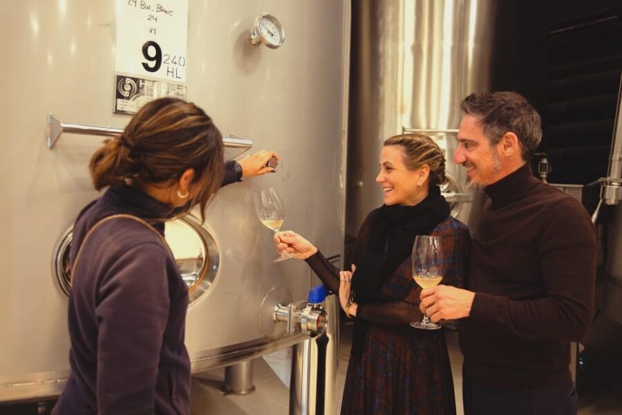 Private Wine, Tapas & Cava Experience from Barcelona - Penedès at Finca Ca N’Estella: Cava Tradition, Underground Aging, Catalan Country Estate Vibes