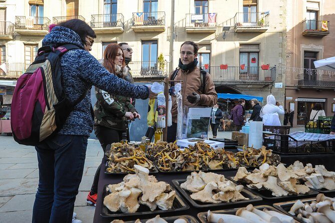 Pyrenees & Medieval Towns Small Group Tour from Barcelona - Price and value: what you get for $143.91