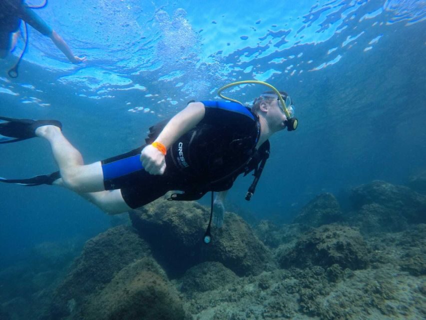Salou: Scuba Diving for Beginners - Key things I’d zero in on before you book