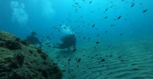 Salou: Scuba Diving for Beginners - Gear and Wetsuit Fit: Comfort Is Safety