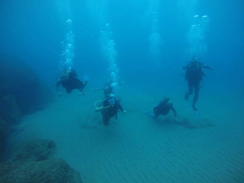 Salou: Scuba Diving for Beginners - Marine Life You Can Actually See