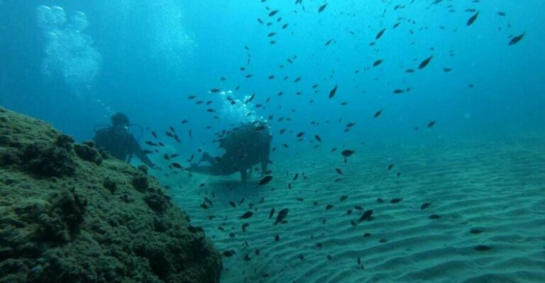 Salou: Scuba Diving for Beginners - Gear and Wetsuit Fit: Comfort Is Safety