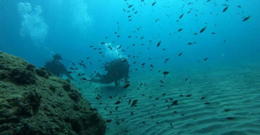 Salou: Scuba Diving for Beginners - Gear and Wetsuit Fit: Comfort Is Safety