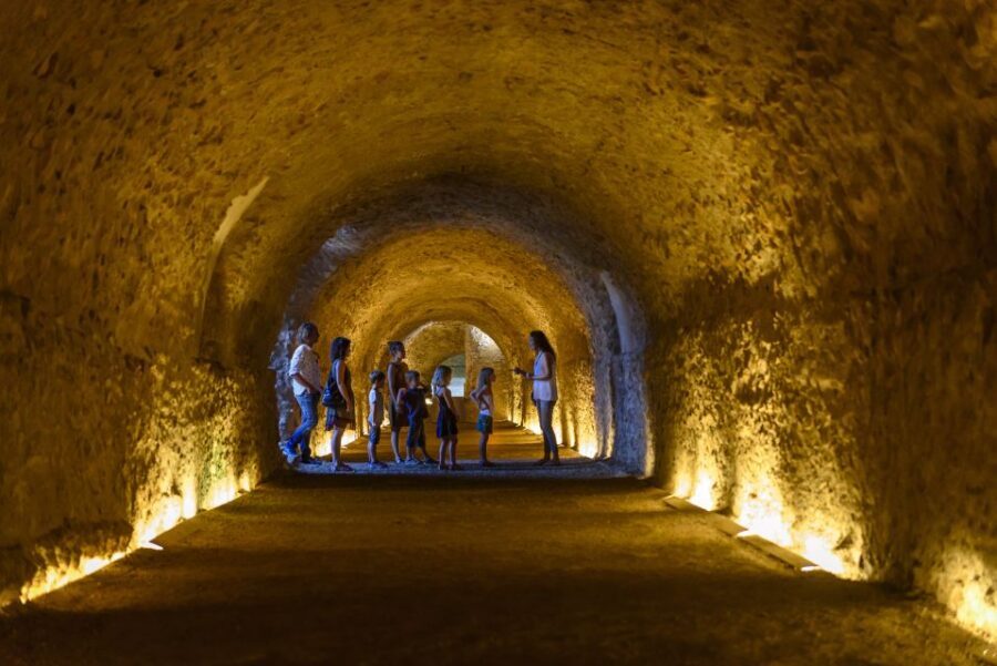 Tarragona: Roman Heritage Guided Walking Tour - The Amphitheater by the Sea: Gladiators, Beasts, and Big Views