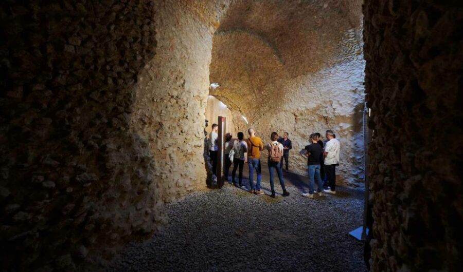 Tarragona: Roman Heritage Guided Walking Tour - How to Fit This Tour Into Your Tarragona Day